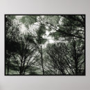 Suche nach kreationen poster Druck