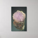 Suche nach kristall leinwandbilder Naturwissenschaften