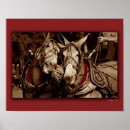 Suche nach maultiere poster Fotografie