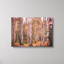 Suche nach herbstwald leinwandbilder Natur