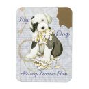 Suche nach lektion magnete Für alle