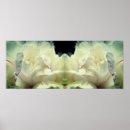 Suche nach weißes pony poster Blume