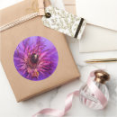 Suche nach clematis aufkleber Natur