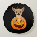 Suche nach chihuahua kissen Haustier