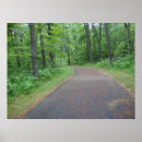 Suche nach waldweg poster Bäume