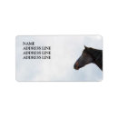 Suche nach dunkles pferd Jede person