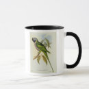 Suche nach john gould tassen Vögel