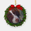 Suche nach collie ornamente Hunde