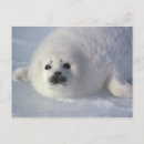 Suche nach harfe postkarten Spielerisch