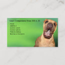 Suche nach das shar pei Chinesisch