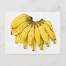 Suche nach vintage ananas postkarten Banane