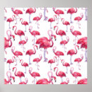 Suche nach exotic poster Natur
