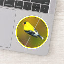 Suche nach goldschmiede aufkleber Goldfinch