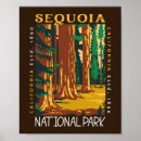 Suche nach sequoia poster Rotholz