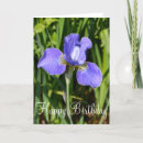 Suche nach iris karten Lila