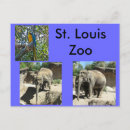 Suche nach heiliger elefant postkarten Elefanten