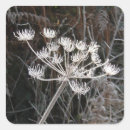 Suche nach der frost aufkleber Winter