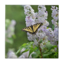 Suche nach schmetterling fliesen Gelb
