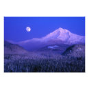 Suche nach monsun poster Nacht