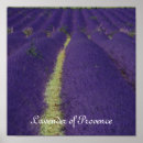 Suche nach provence poster Lila