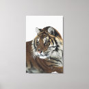 Suche nach sibirischer tiger leinwandbilder Wild lebende tiere