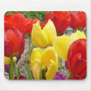 Suche nach tulpen mousepads Quelle