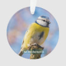 Suche nach gelber vogel ornamente Süß