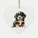 Suche nach berner ornamente Haustier