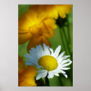 Suche nach flower poster Flora