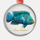 Suche nach aquariumfische Cichlid