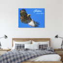 Suche nach wings leinwandbilder Vogelvogel