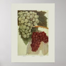Suche nach vintage trauben poster Blume