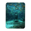 Suche nach atlantis magnete Bahamas