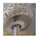Suche nach makro fliesen Pilz
