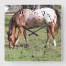 Suche nach zaun wanduhren Natur