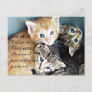 Suche nach niedliches kätzchen postkarten Jede person