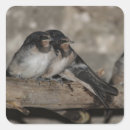 Suche nach sitzend aufkleber Vogel