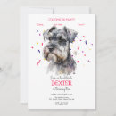 Suche nach schnauze postkarten Hunde