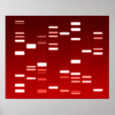 Suche nach dna poster Wissenschaft