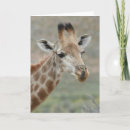 Suche nach zungen karten Giraffe