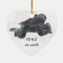 Suche nach weltfrieden ornamente Herz