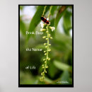 Suche nach dschungel blume poster Natur