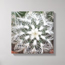 Suche nach kaktus leinwandbilder Kakteen