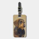Suche nach wildschweinen accessoires Dackel