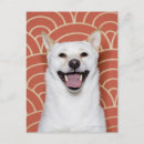 Suche nach emotion postkarten Fröhlich