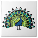 Suche nach pfau fliesen Jede person