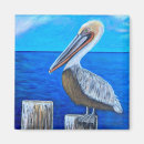 Suche nach pelikan magnete Vogelvogel