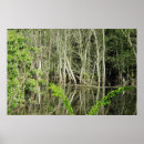 Suche nach mississippi river poster Fluss