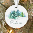 Suche nach grüner baum ornamente Schnee