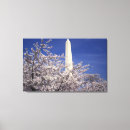 Suche nach washington dc leinwandbilder Blume